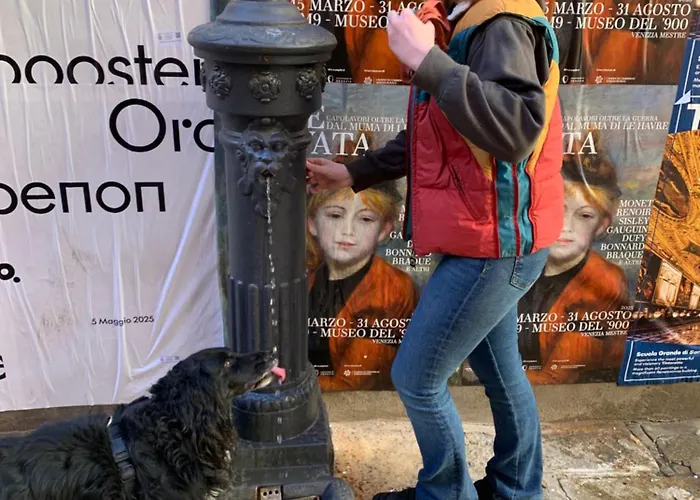 Bed & Breakfast Naturalmente *