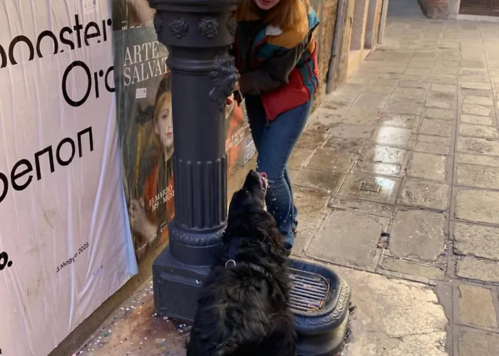 Naturalmente فندق مبيت وإفطار *